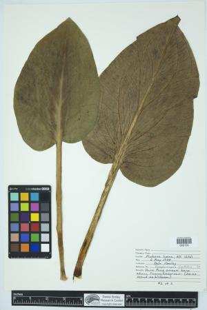 89825-Service File.jpg