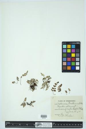 89848-Service File.jpg