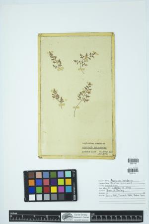 89849-Service File.jpg