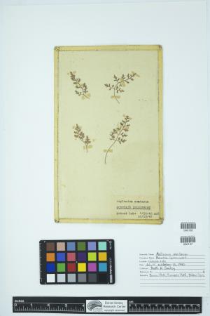 89850-Service File.jpg