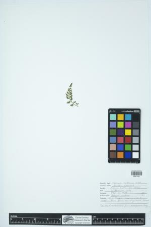 89854-Service File.jpg