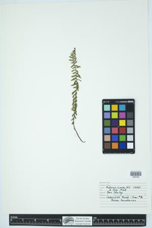 89858-Service File.jpg