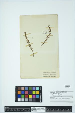 89865-Service File.jpg