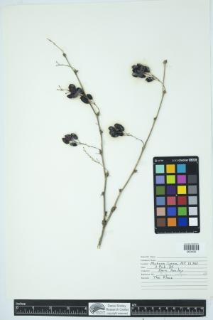 89876-Service File.jpg