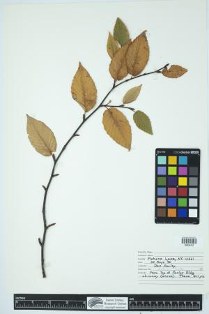 89887-Service File.jpg