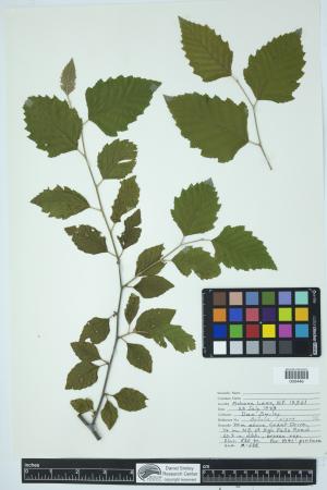 89890-Service File.jpg