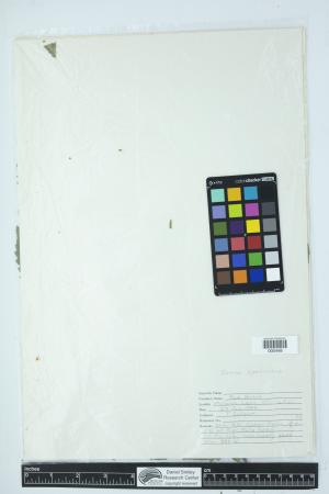 89892-Service File.jpg