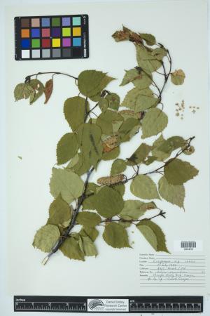 89894-Service File.jpg