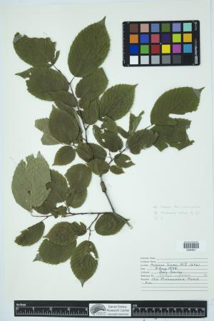 89904-Service File.jpg
