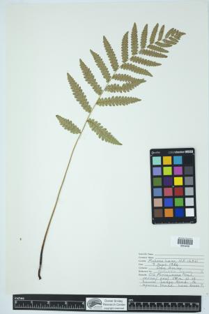 89912-Service File.jpg