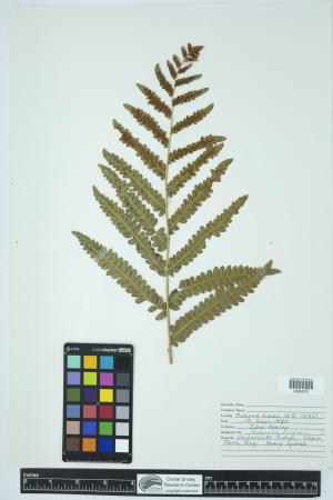 89913-Service File.jpg