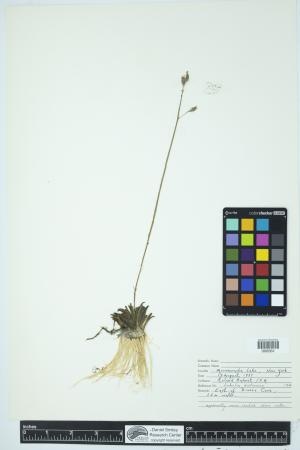 89930-Service File.jpg