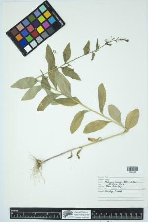 89931-Service File.jpg