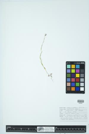 89936-Service File.jpg