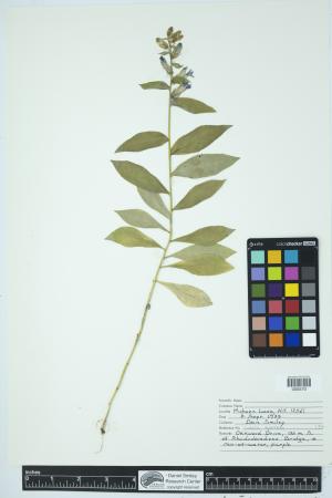 89939-Service File.jpg