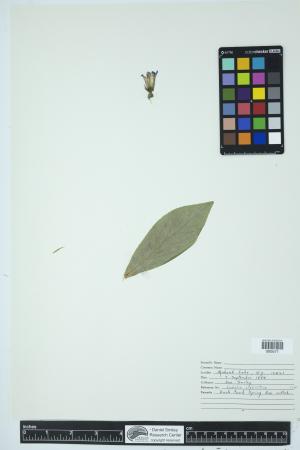 89940-Service File.jpg