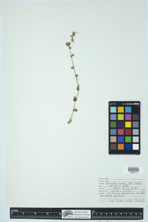 89941-Service File.jpg