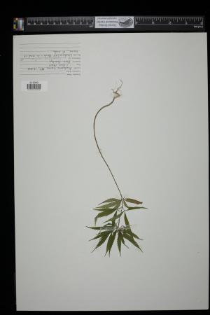 89942-Service File.jpg