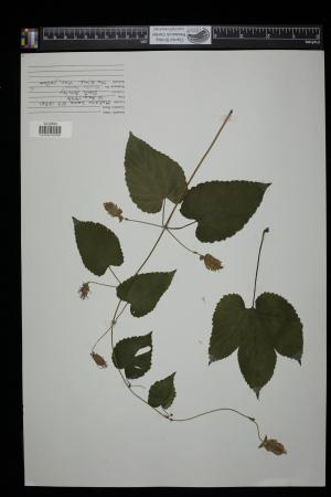 89944-Service File.jpg