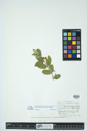 89958-Service File.jpg