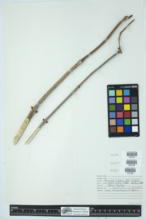 89962-Service File.jpg