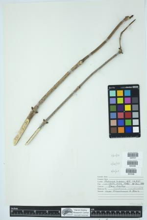 89963-Service File.jpg