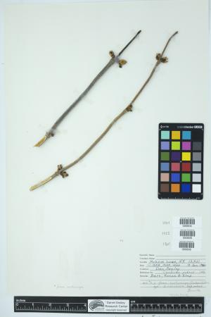 89966-Service File.jpg
