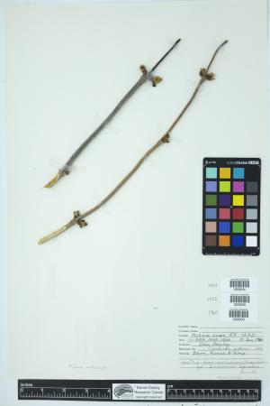 89967-Service File.jpg
