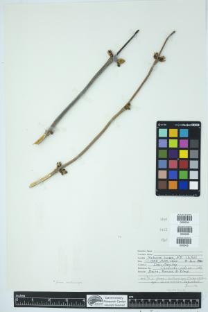 89968-Service File.jpg