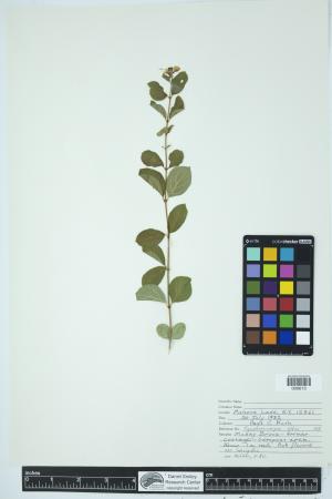 89971-Service File.jpg