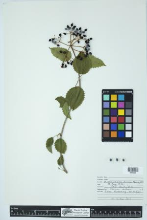 89980-Service File.jpg