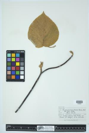 89983-Service File.jpg