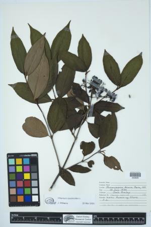 89987-Service File.jpg
