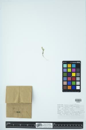 89993-Service File.jpg