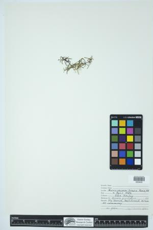 90000-Service File.jpg