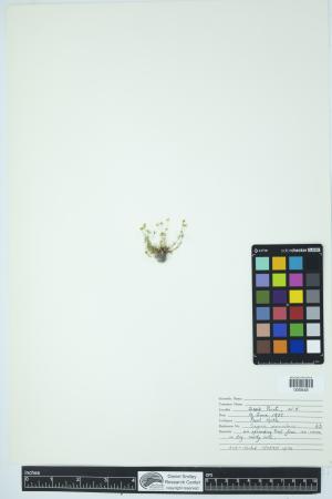 90005-Service File.jpg