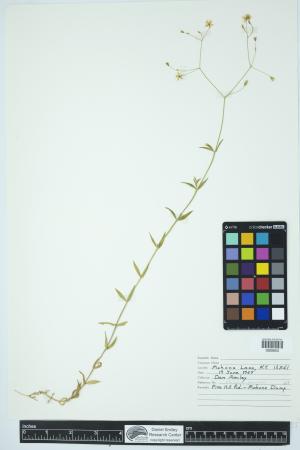 90019-Service File.jpg