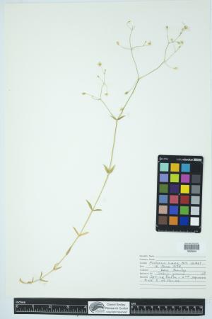 90020-Service File.jpg