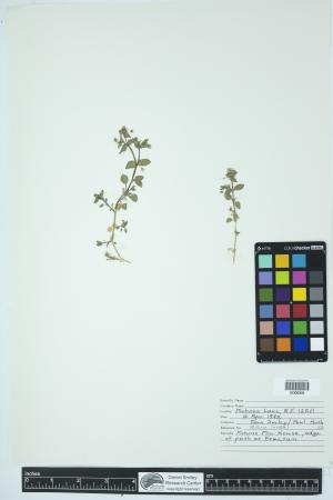 90022-Service File.jpg
