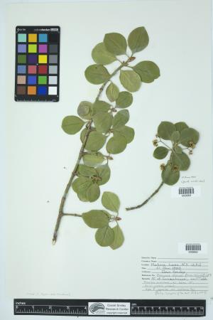 90038-Service File.jpg