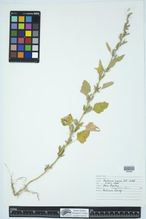 90041-Service File.jpg