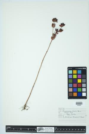 90050-Service File.jpg