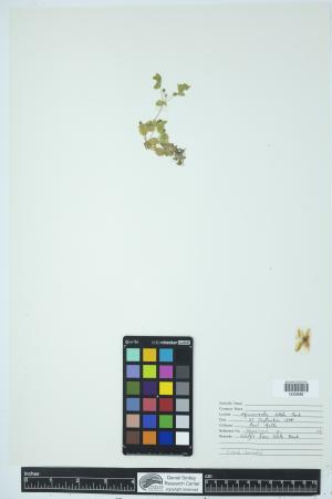 90051-Service File.jpg