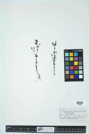 90053-Service File.jpg