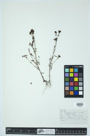 90054-Service File.jpg
