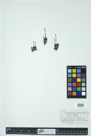 90055-Service File.jpg