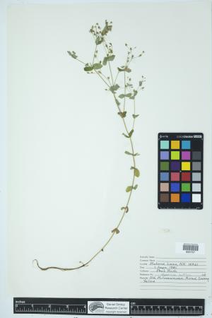 90062-Service File.jpg