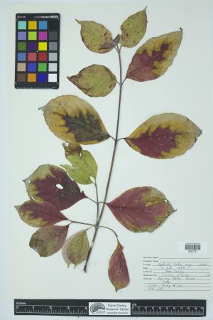 90084-Service File.jpg