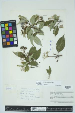90094-Service File.jpg