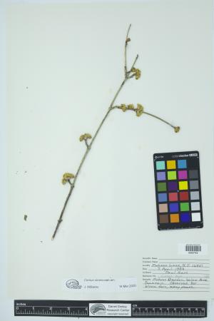 90096-Service File.jpg
